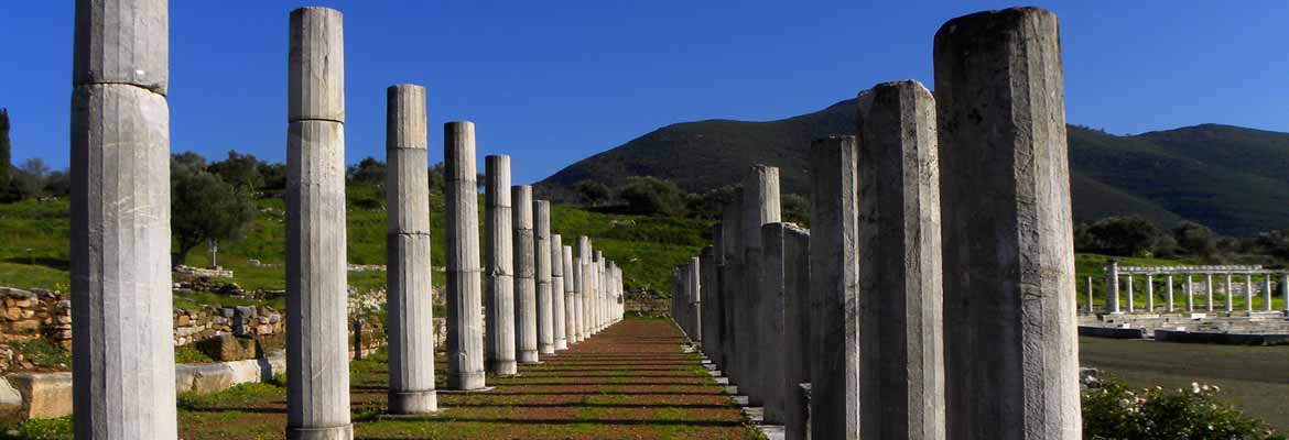 Excursion in Taxi to Ancient Messene